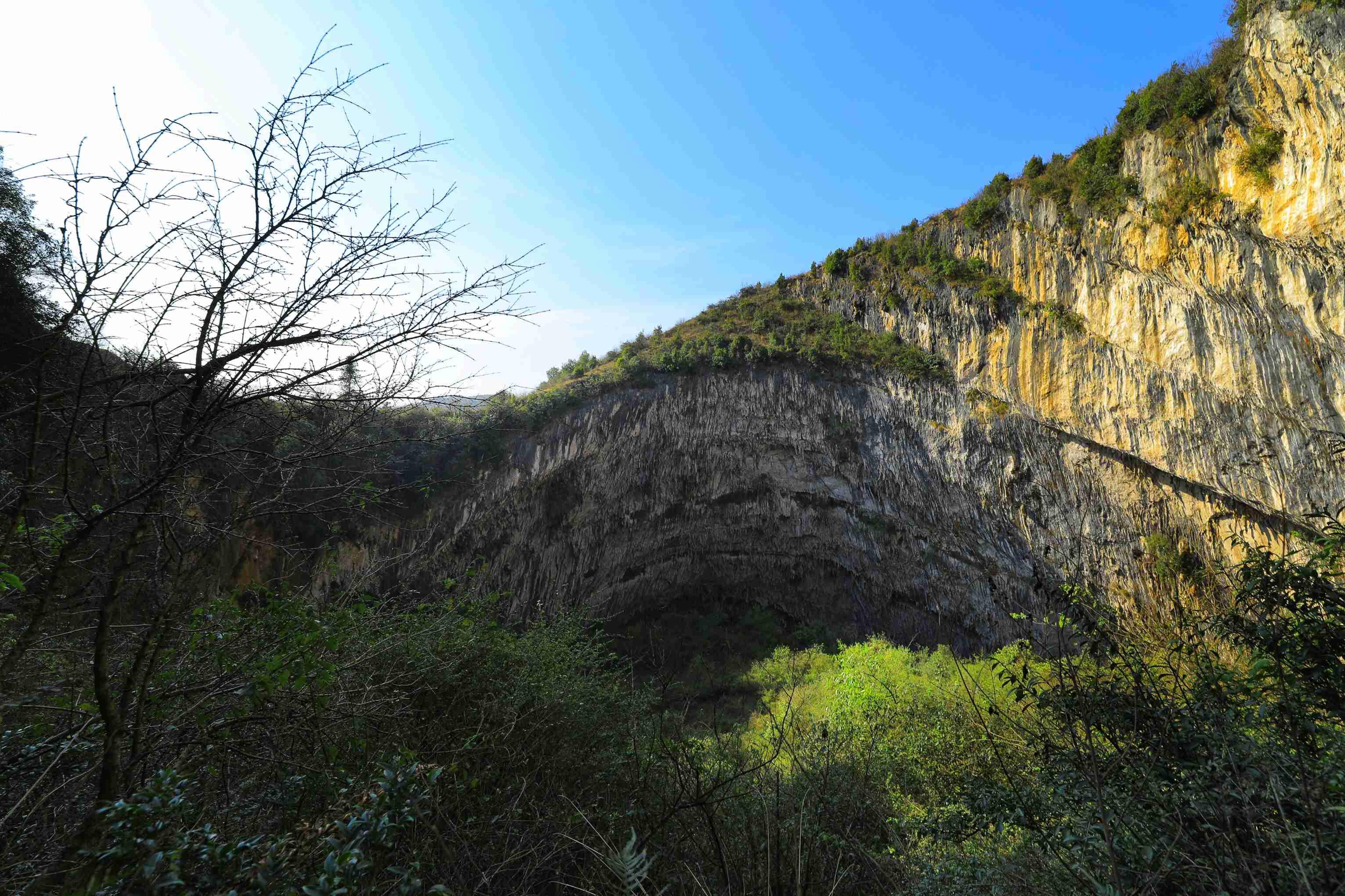 十八里村委会最新人事任命