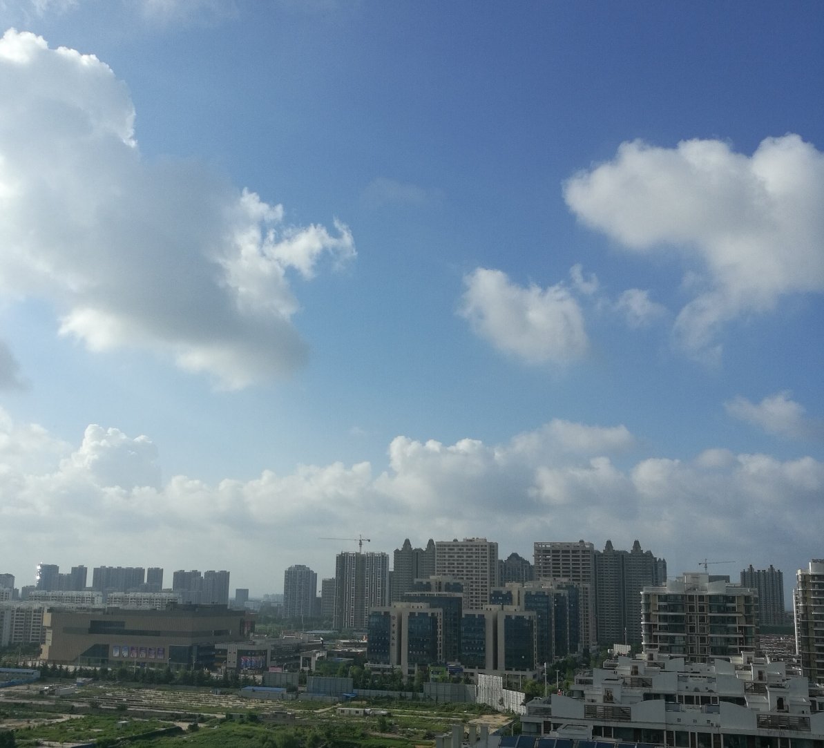 九曲街道最新天气预报