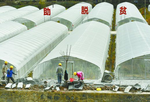 永顺县水利局最新项目