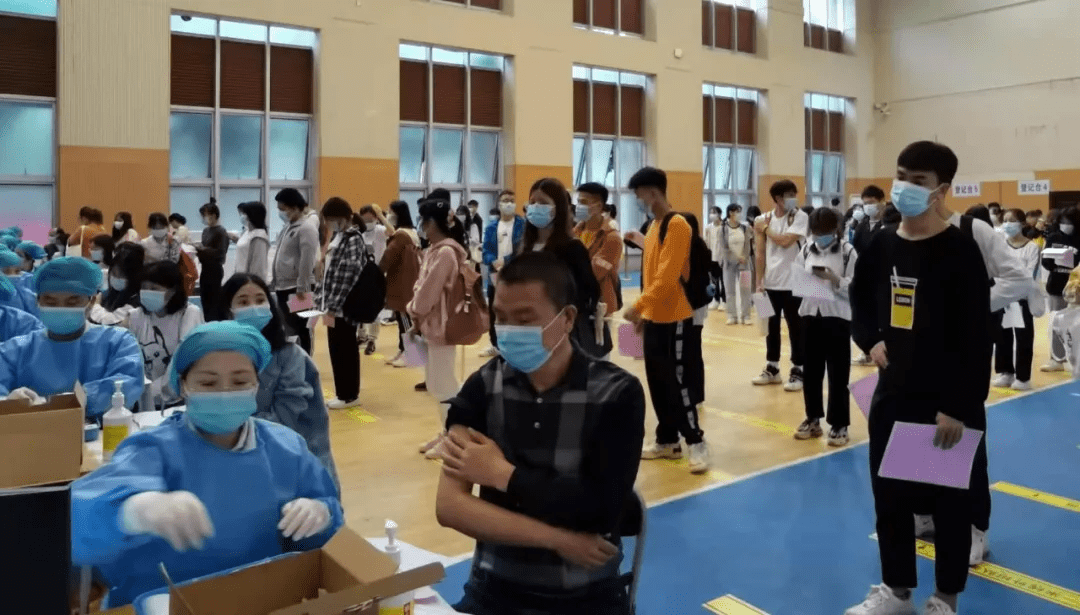 李子坝村委会最新招聘信息