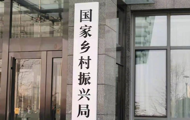 唐家坡村委会最新交通新闻