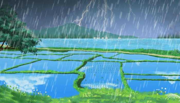 招贤镇最新天气预报