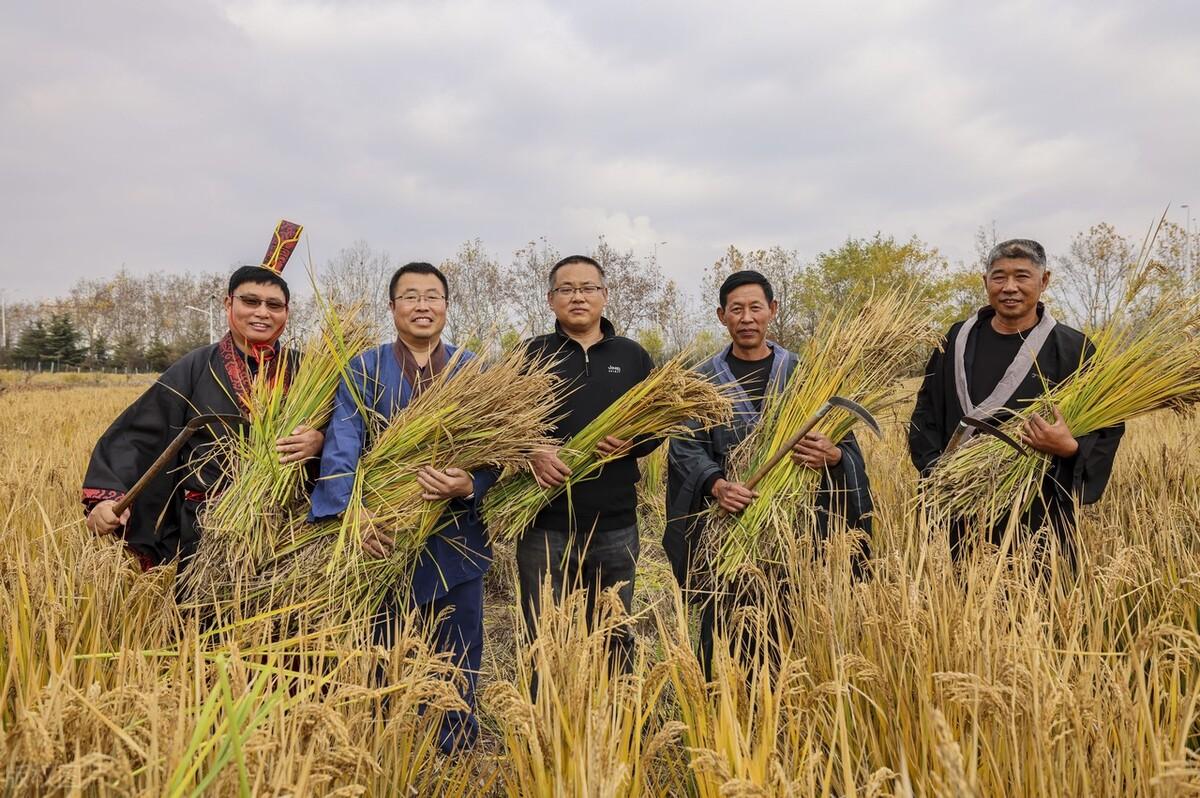 七宝山乡最新新闻