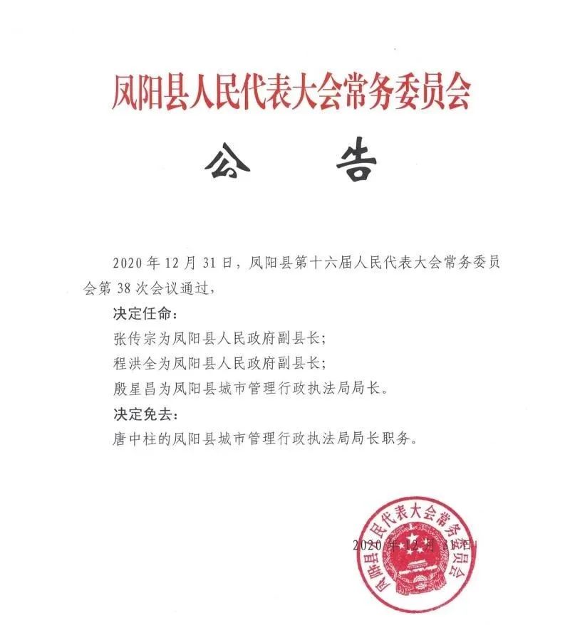 团风县发展和改革局最新人事任命
