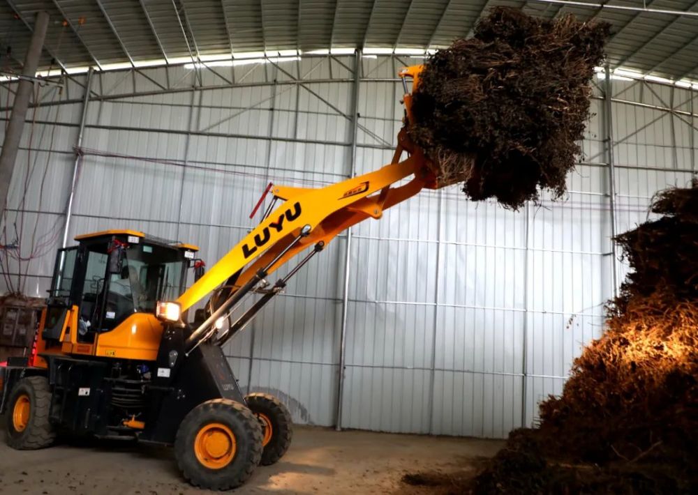 木梓镇最新发展规划