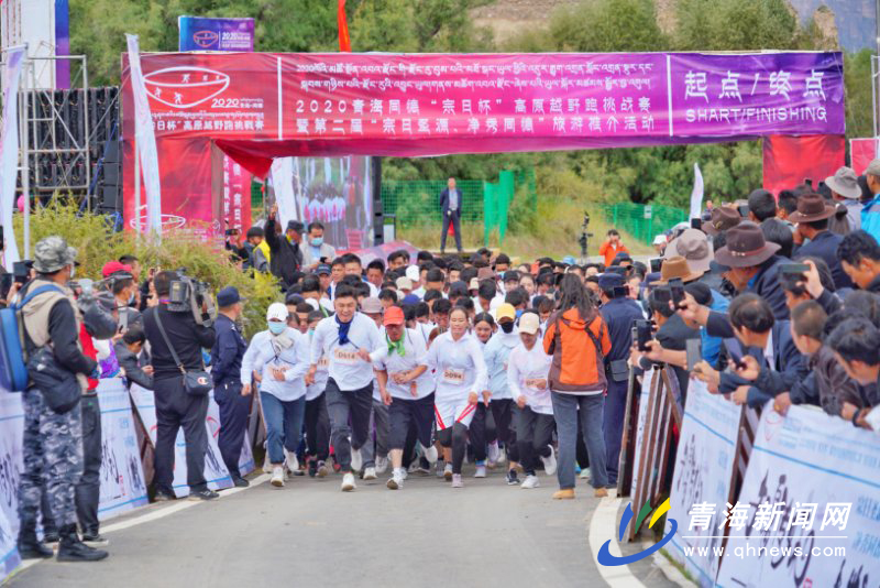 宗多村最新新闻