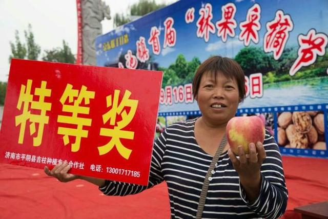 洪范池镇最新招聘信息