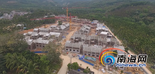 奶琼村最新项目