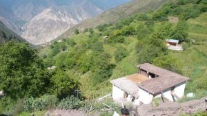 纳古村最新项目