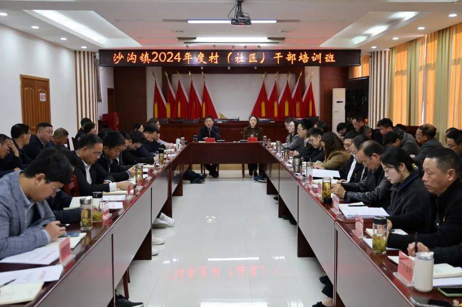 沙沟镇最新交通新闻