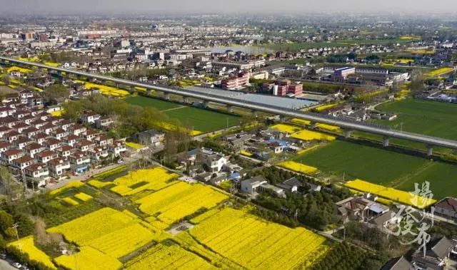 连淮扬镇铁路通车重塑区域交通格局,激发经济新活力