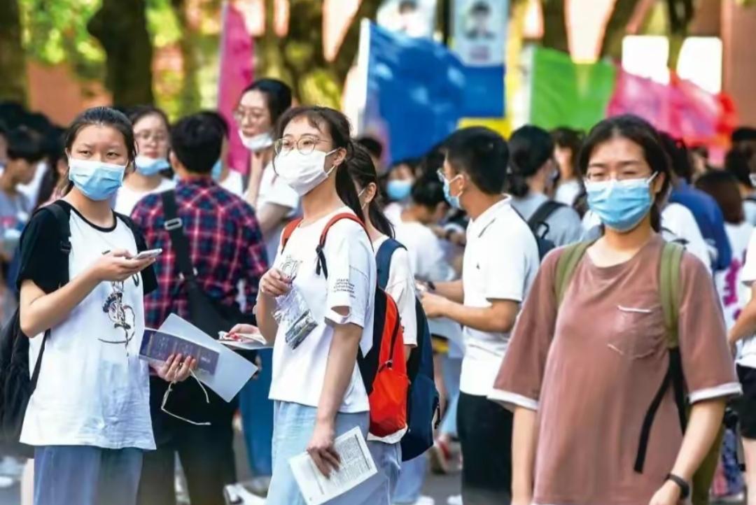 公务员成功报名,职业探索新起点