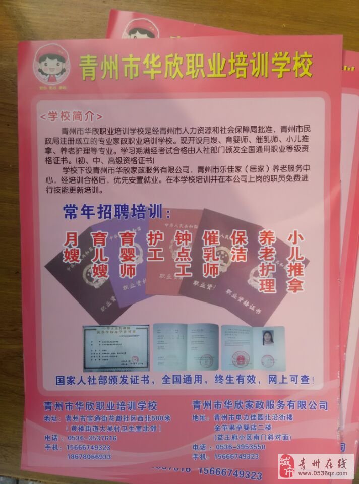 青州人才招聘最新动态,市场繁荣与机遇透视
