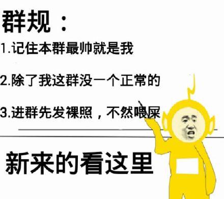 微信表情包群最新动态,探寻新时代的表情文化潮流