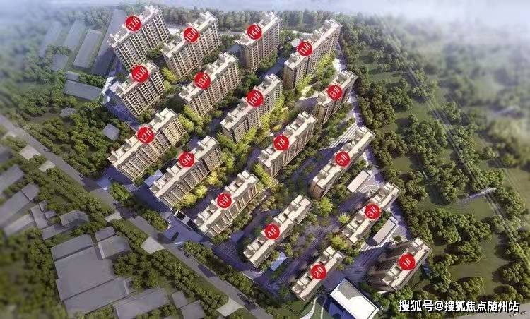 艳贝 第3页