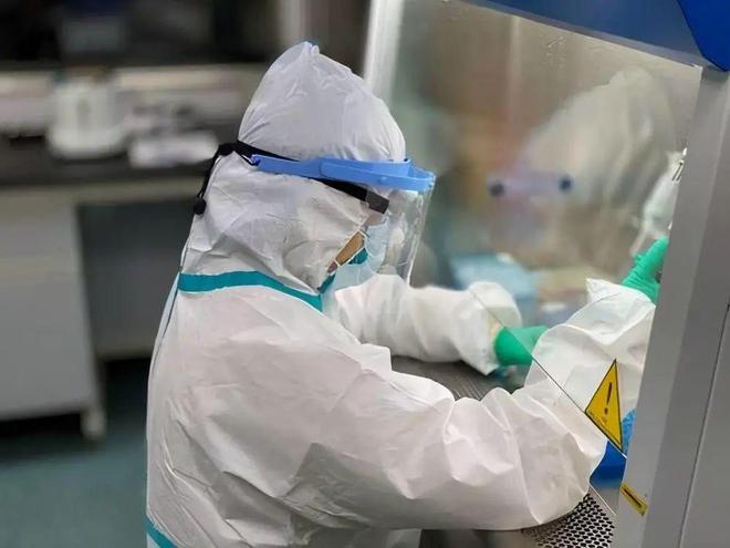 最新核酸检测方法与步骤详解解析