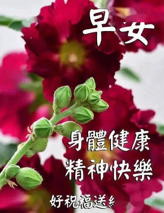 誉嘉 第3页