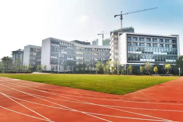 深圳,繁荣与创新的不懈追求最新动态