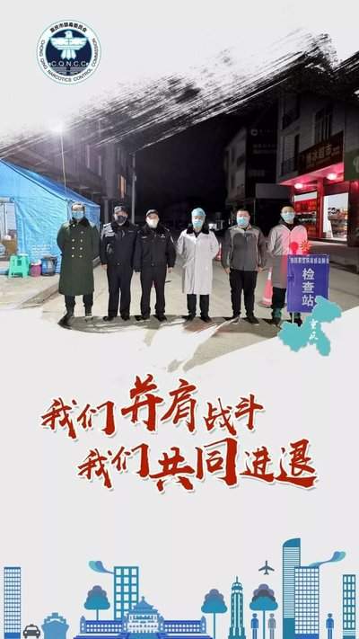 中国疫情最新动态解析与深度观察视频