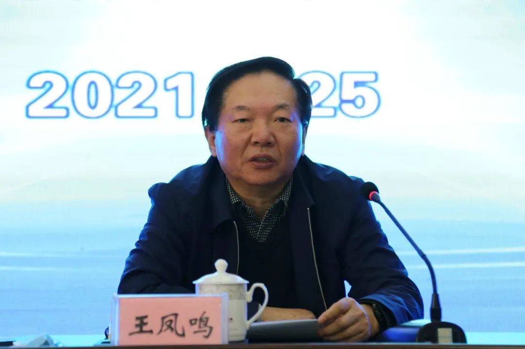 王凤鸣最新动态,揭晓未来篇章发展之路