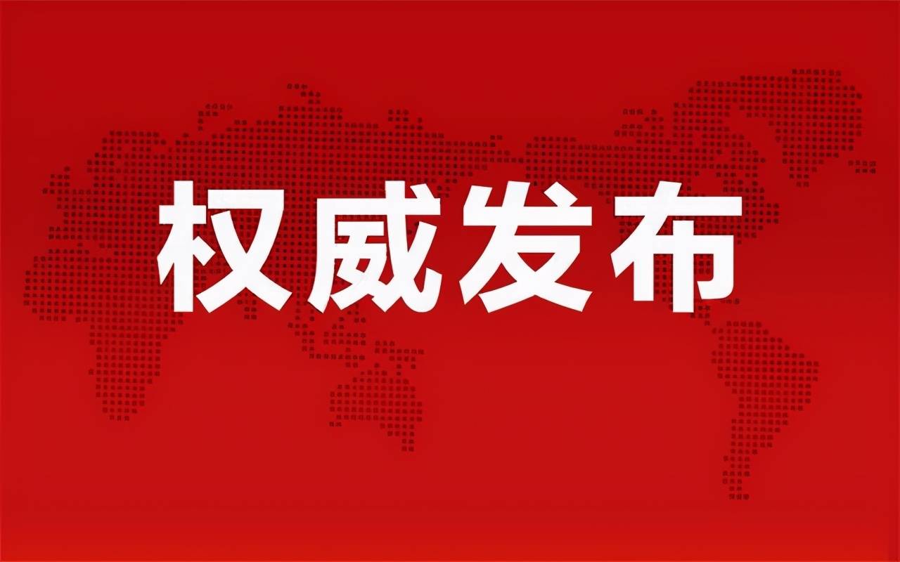 韦瑞灵最新动态,揭开未来无限潜能的序幕