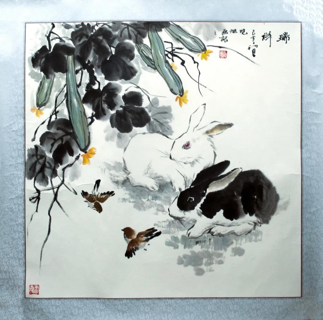 北京今日疫情发布会，全面更新防控信息，揭示未来策略