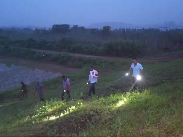 无为市防汛最新动态及应对策略