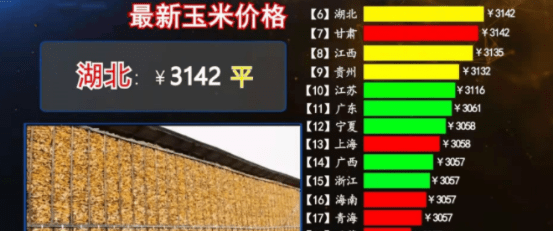粮食玉米最新价格行情解析