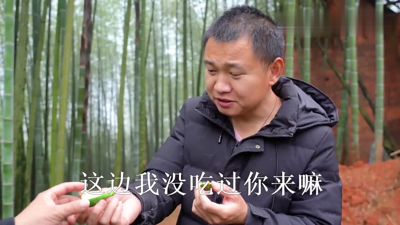 农村四哥2019视频,乡村生活的活力与变迁展现