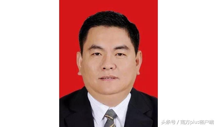 林广华最新动态,开启新篇章