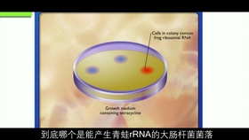 生物基因工程领域的最新突破与前景展望