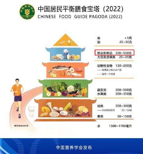 居民膳食指南最新版,构建健康饮食的金钥匙标准