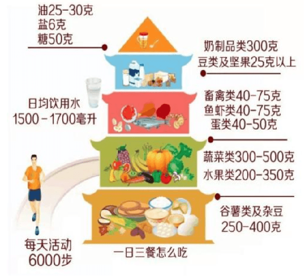 居民膳食指南最新版,构建健康饮食的金钥匙标准