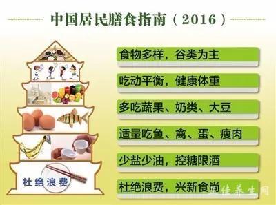 居民膳食指南最新版,构建健康饮食的金钥匙标准