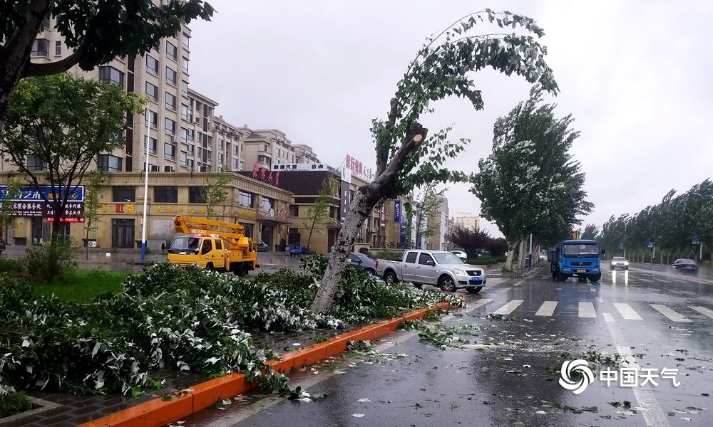 庄河台风最新动态今日更新