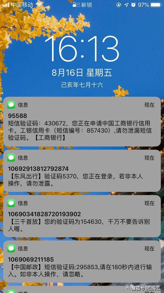 最新银行卡短信通知服务,便捷与安全的无缝融合