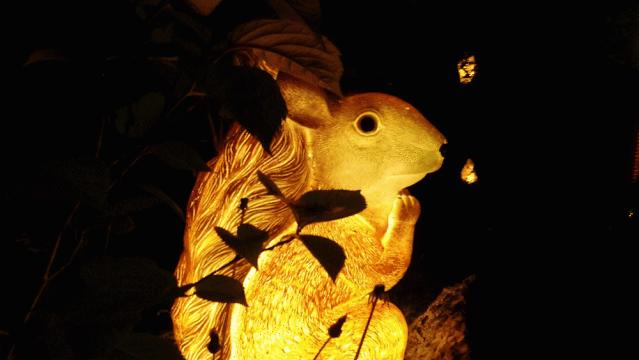 雨鹿宝盒最新版,智能生活的全新探索体验