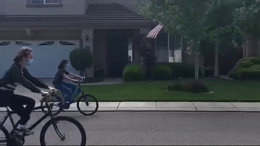 美国疫情复工最新动态,逐步走向正轨的复苏之路