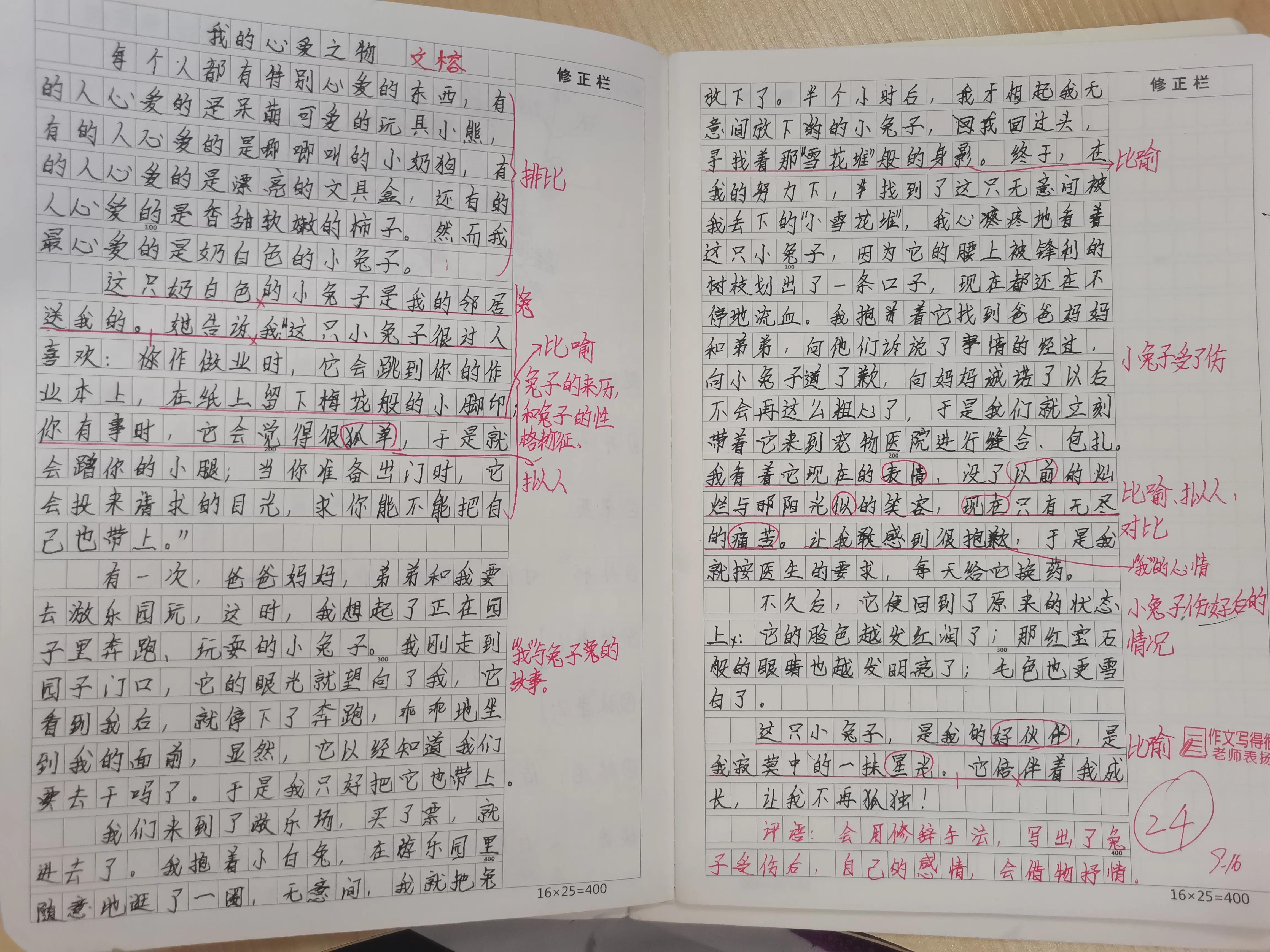 最新小学部编版语文教材深度解析与解读