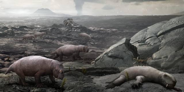全球关注下的超级火山喷发预警,灾难应对与最新消息