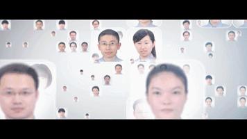 红树林最新动态,生态保护先锋引领前沿研究新篇章