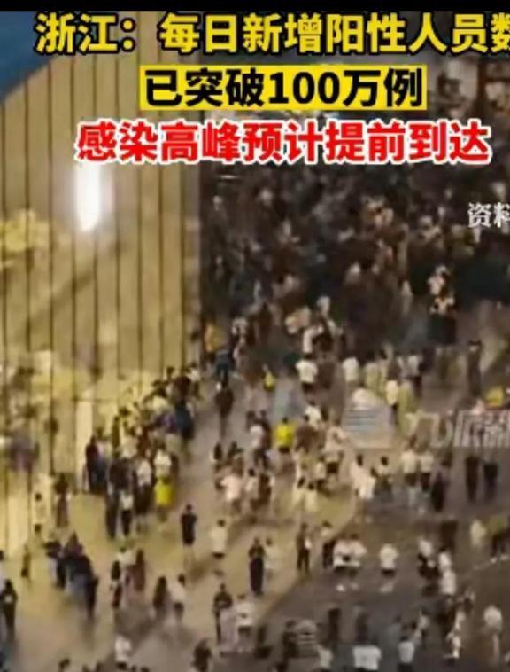 浙讧疫情最新动态,全力防控,共筑健康防线