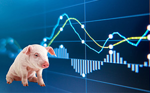 今日猪肉价格走势分析,最新趋势揭示!