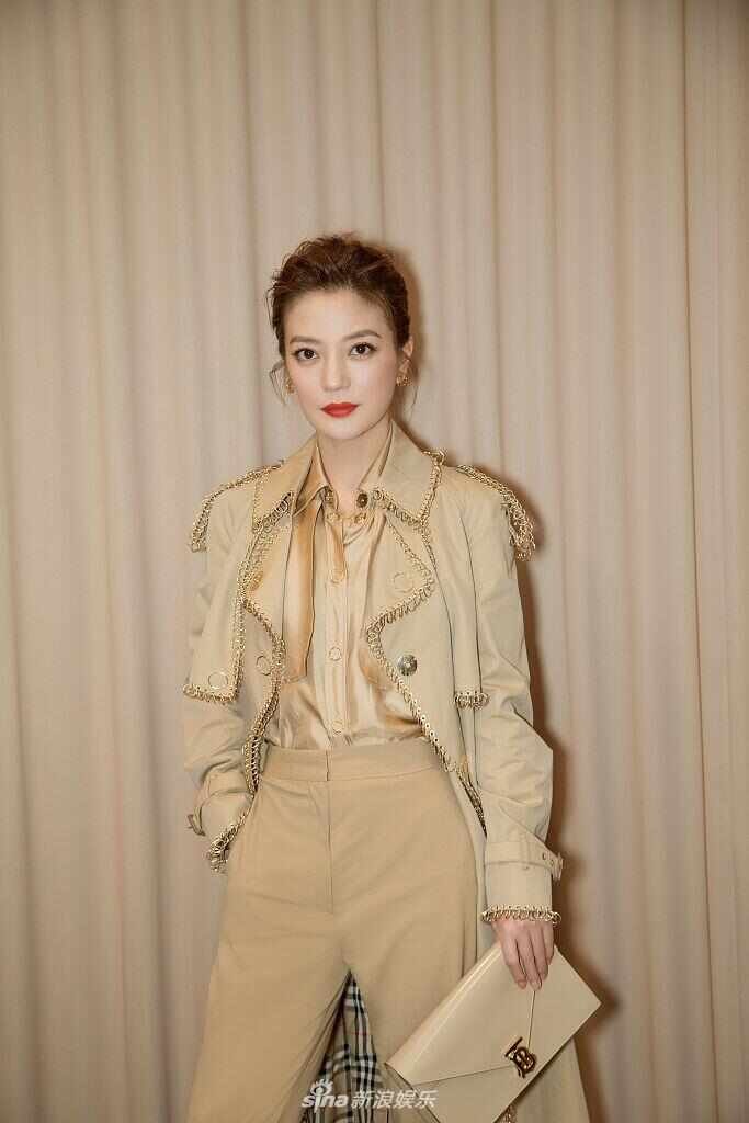 赵薇事业新高峰与个人生活的精彩纷呈,最新消息回顾(2019年)