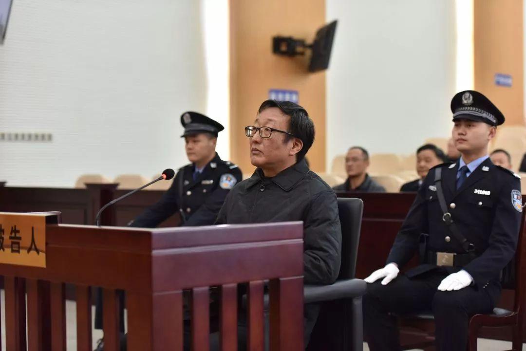 苏从勇最新动态揭秘,多重身份与辉煌成就展露无遗