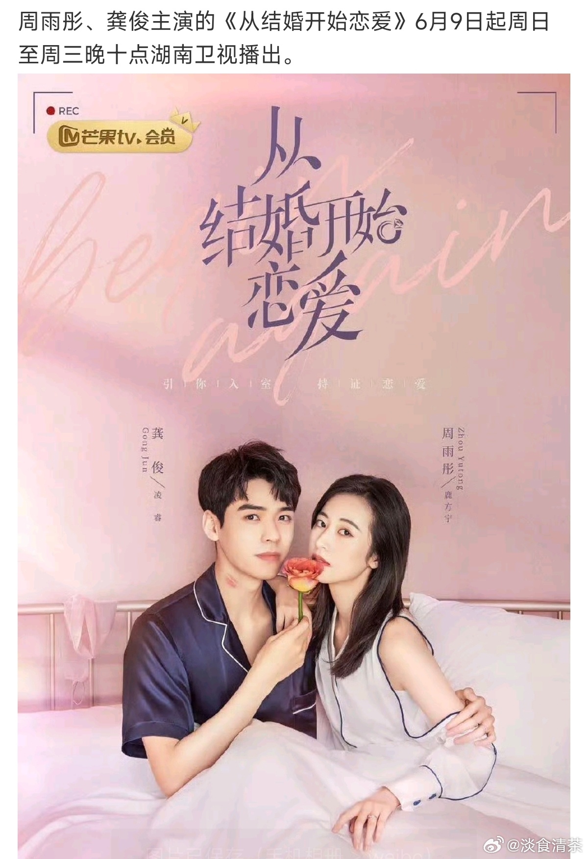 从结婚到恋爱,最新剧情深度剖析