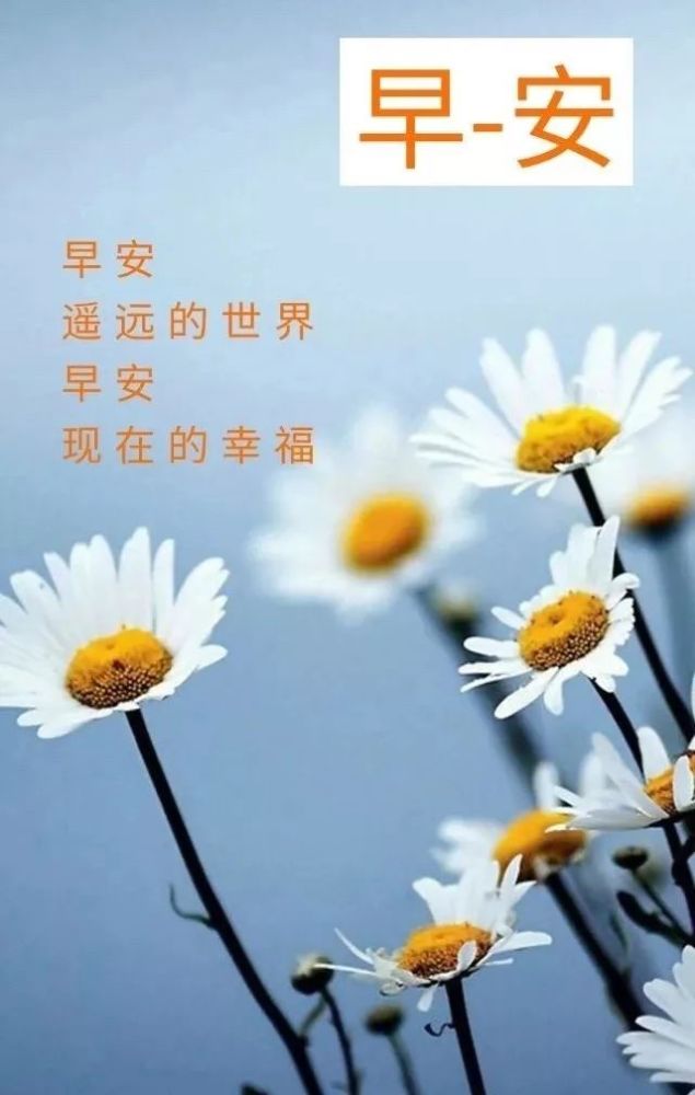 早安朋友圈最新句子,美好一天的启航