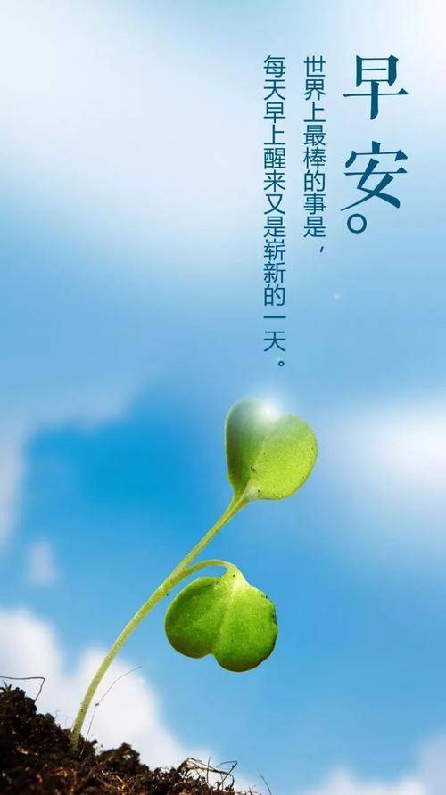早安朋友圈最新句子,美好一天的启航