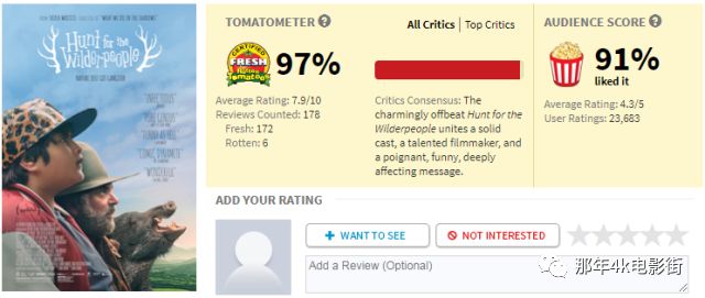 国内精品影视推荐最新网站，影视爱好者的福音榜单揭晓！