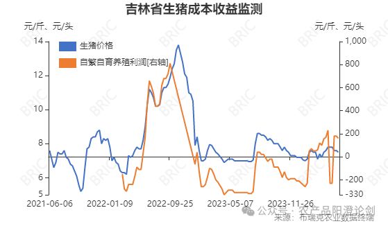 吉林省生猪最新猪价动态解析